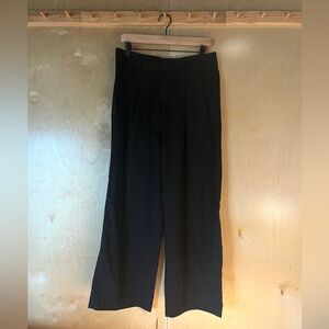 Everlane Draper Pleated Pant Women’s 10 short